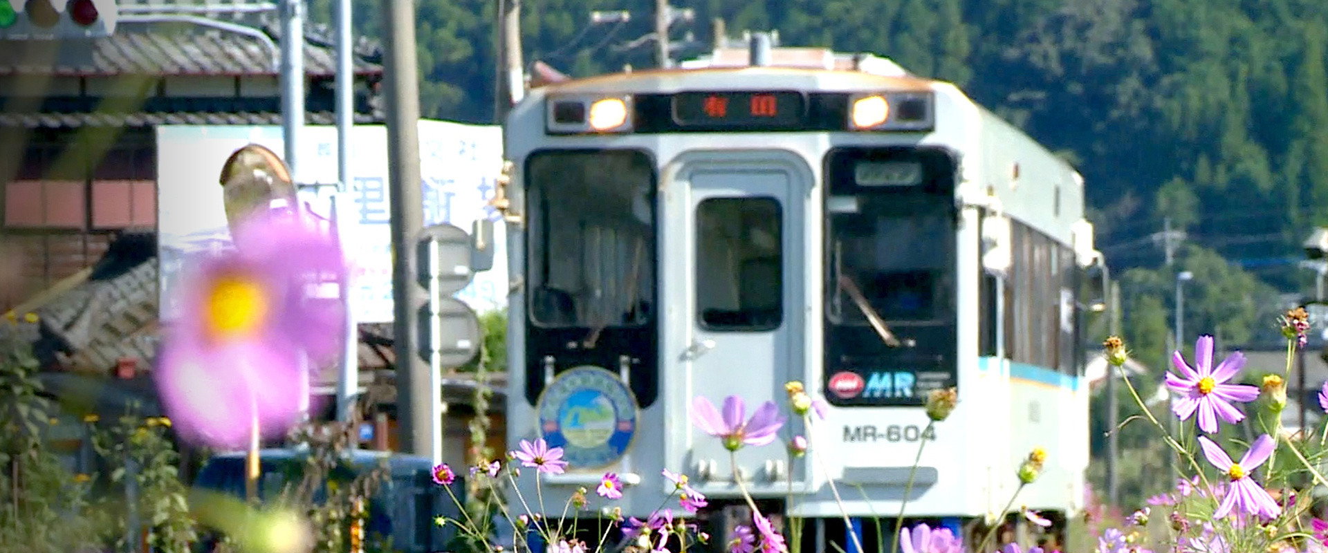 Train Cruise