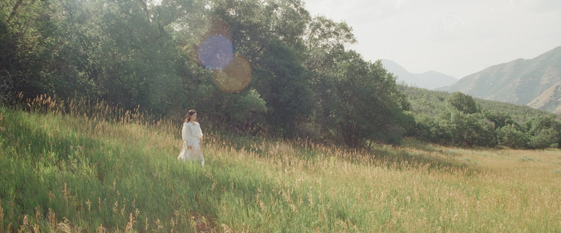 The Meadow's banner image