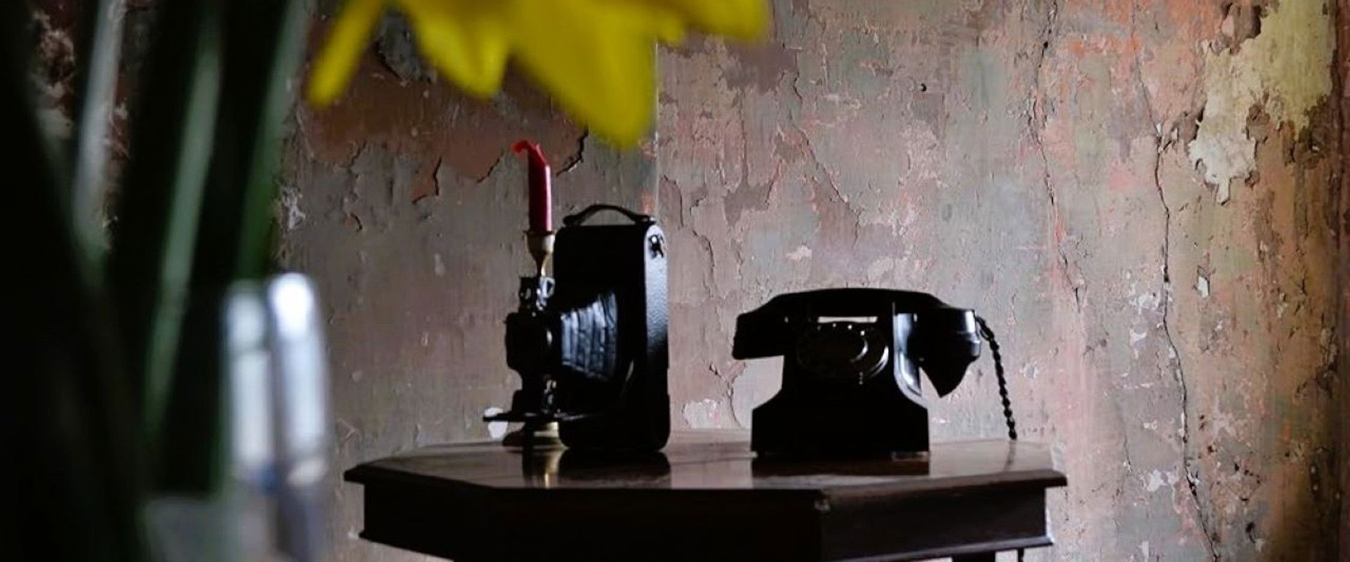 The Telephone's banner image