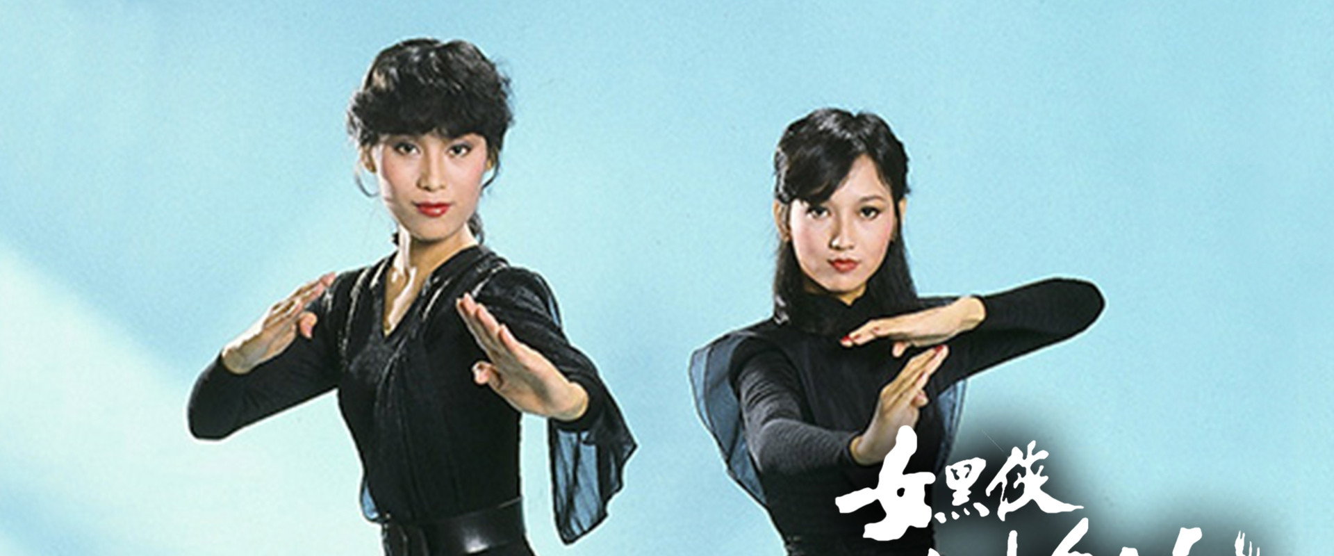 The Legend of Wonder Lady's banner image