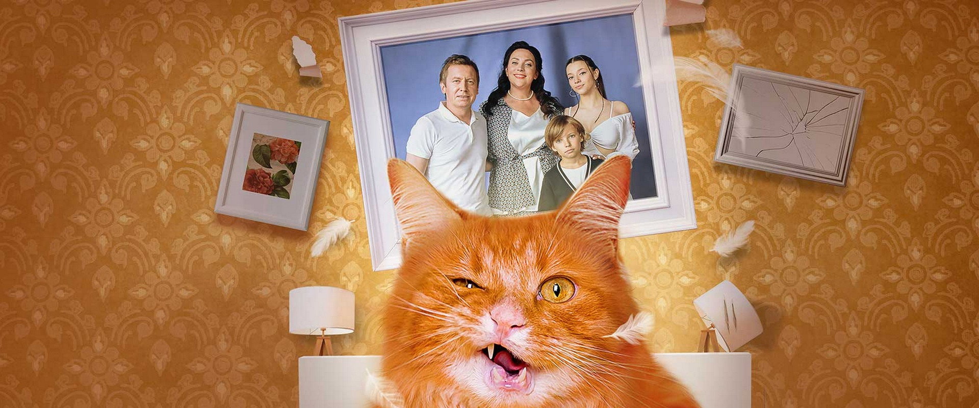 Котострофа