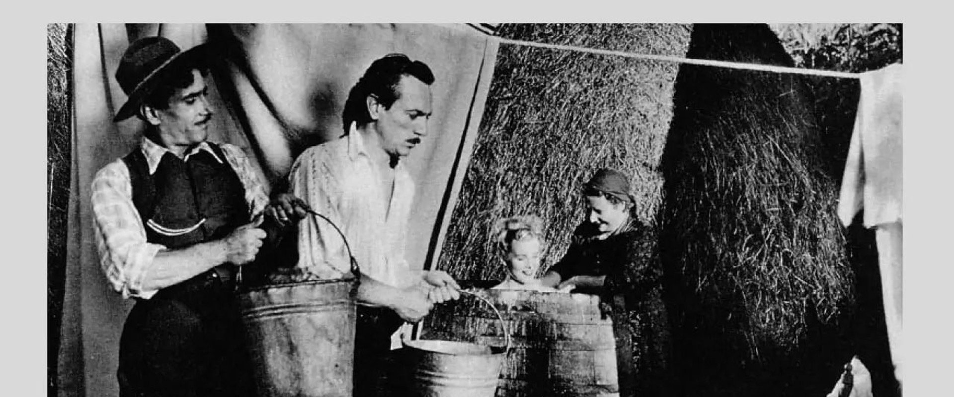 In campagna è caduta una stella's banner image