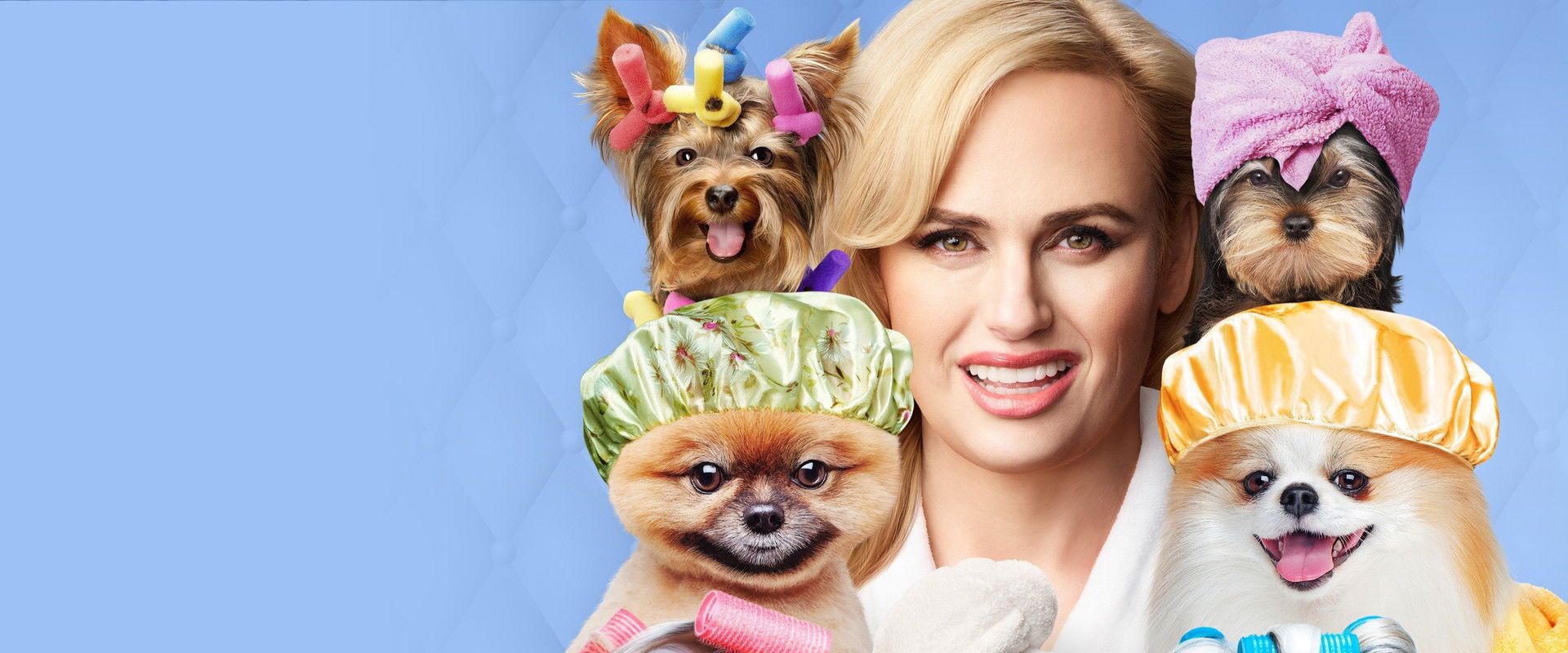 Pooch Perfect's banner image