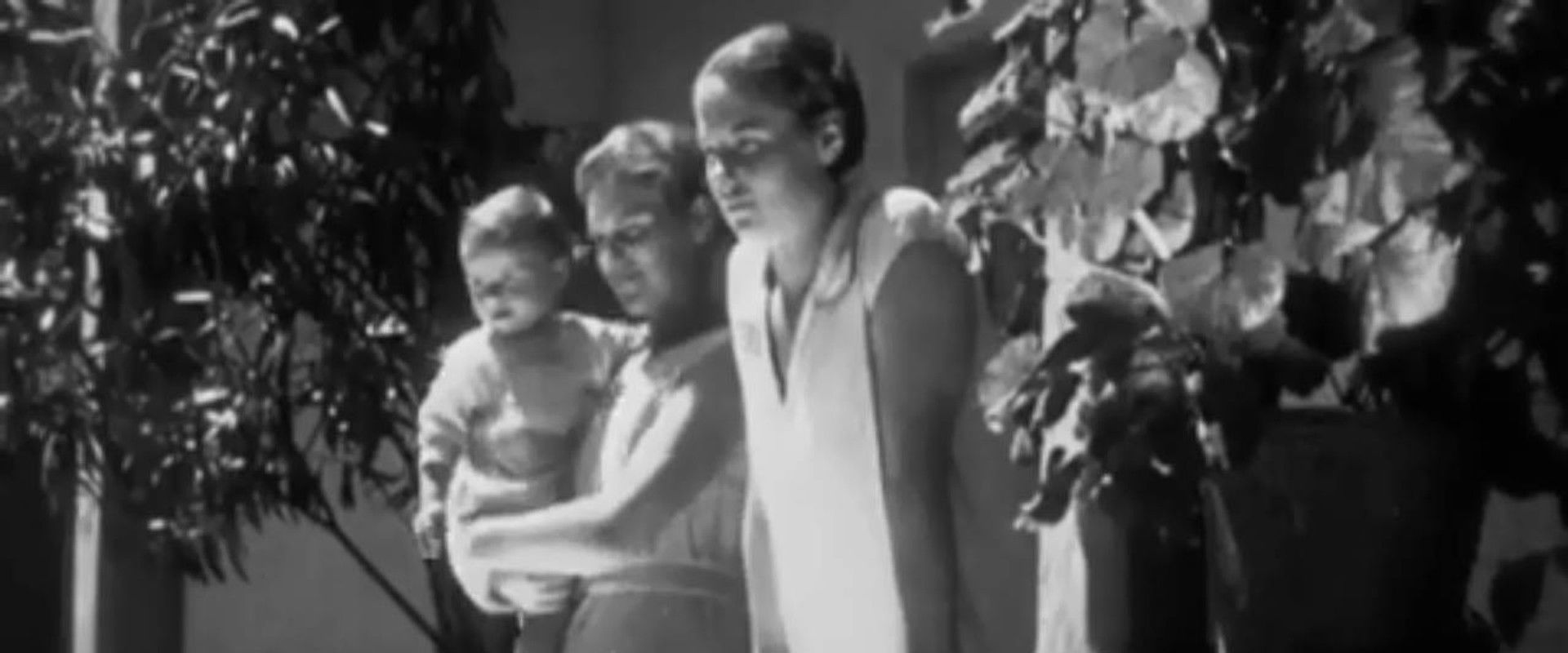 Shakir's banner image