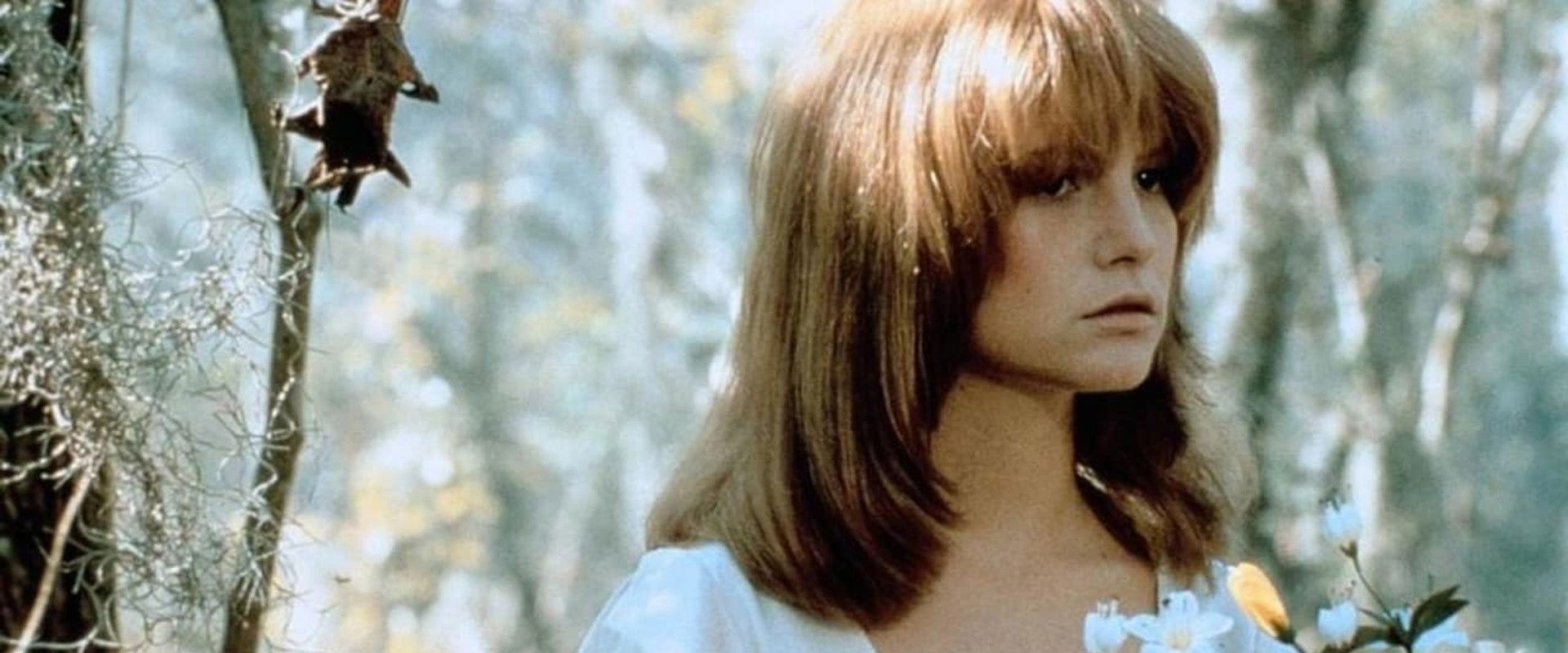 Sister, Sister's banner image