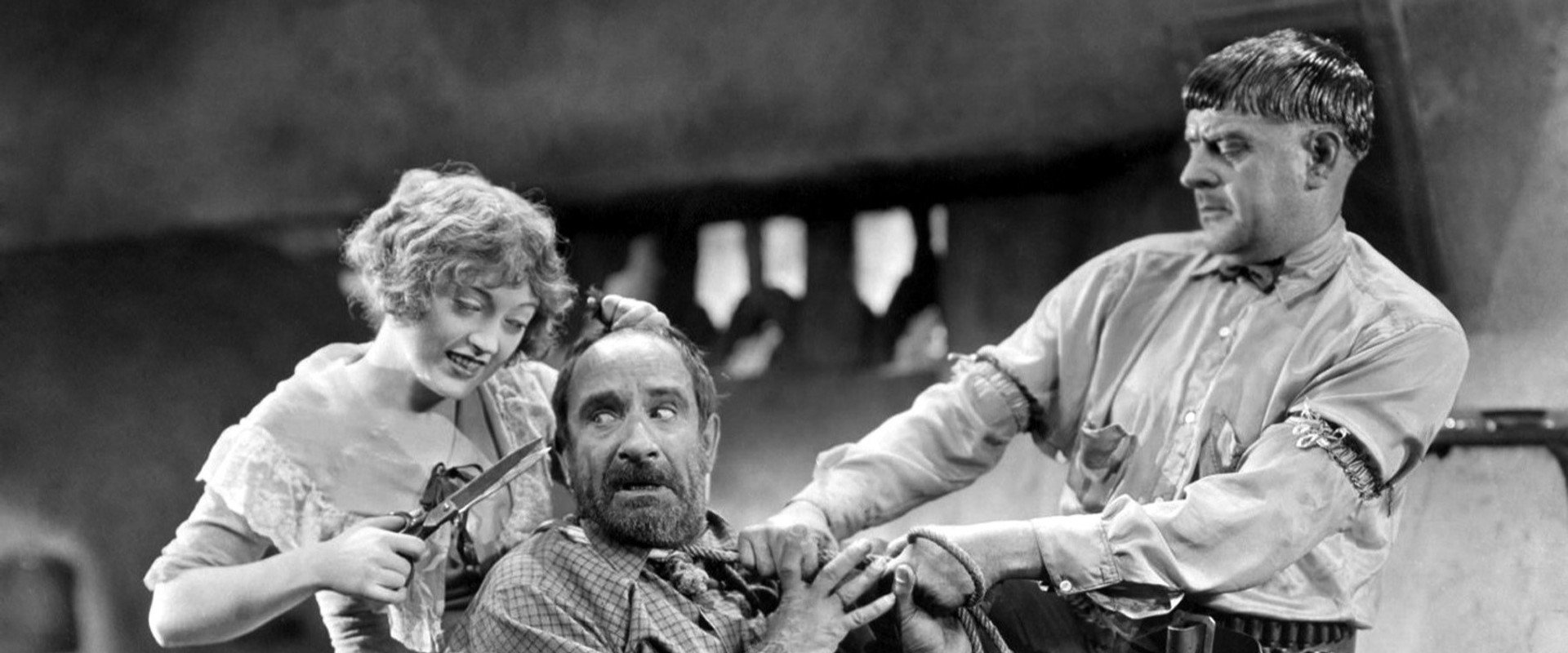 Zander the Great's banner image