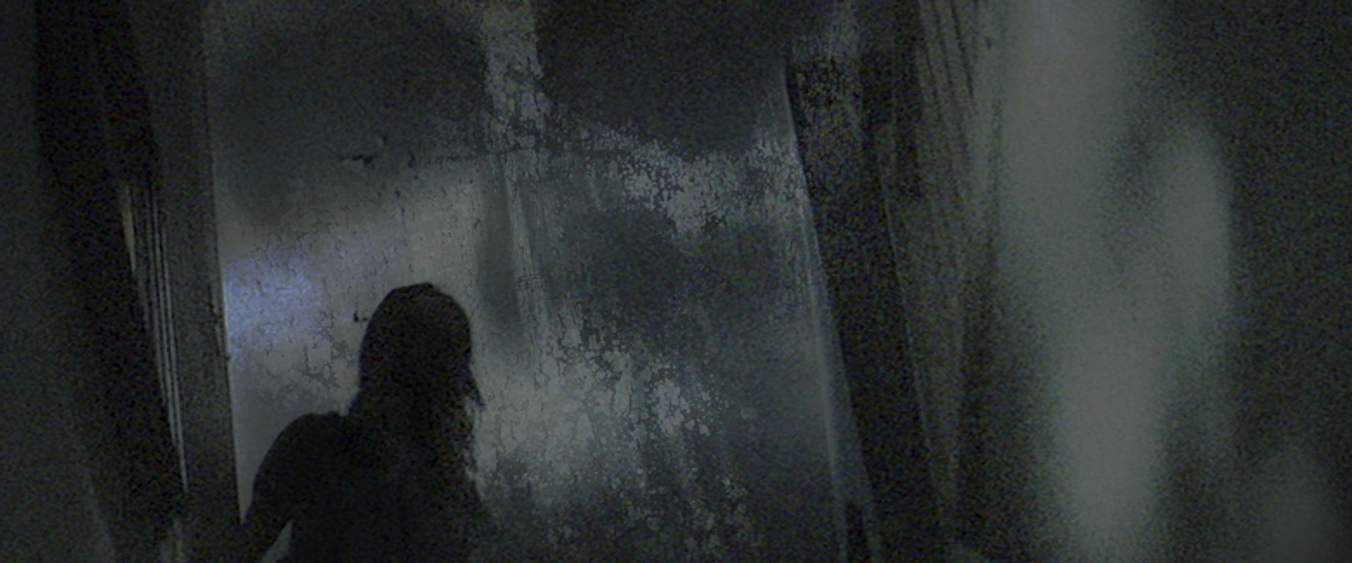Paranormal Witness