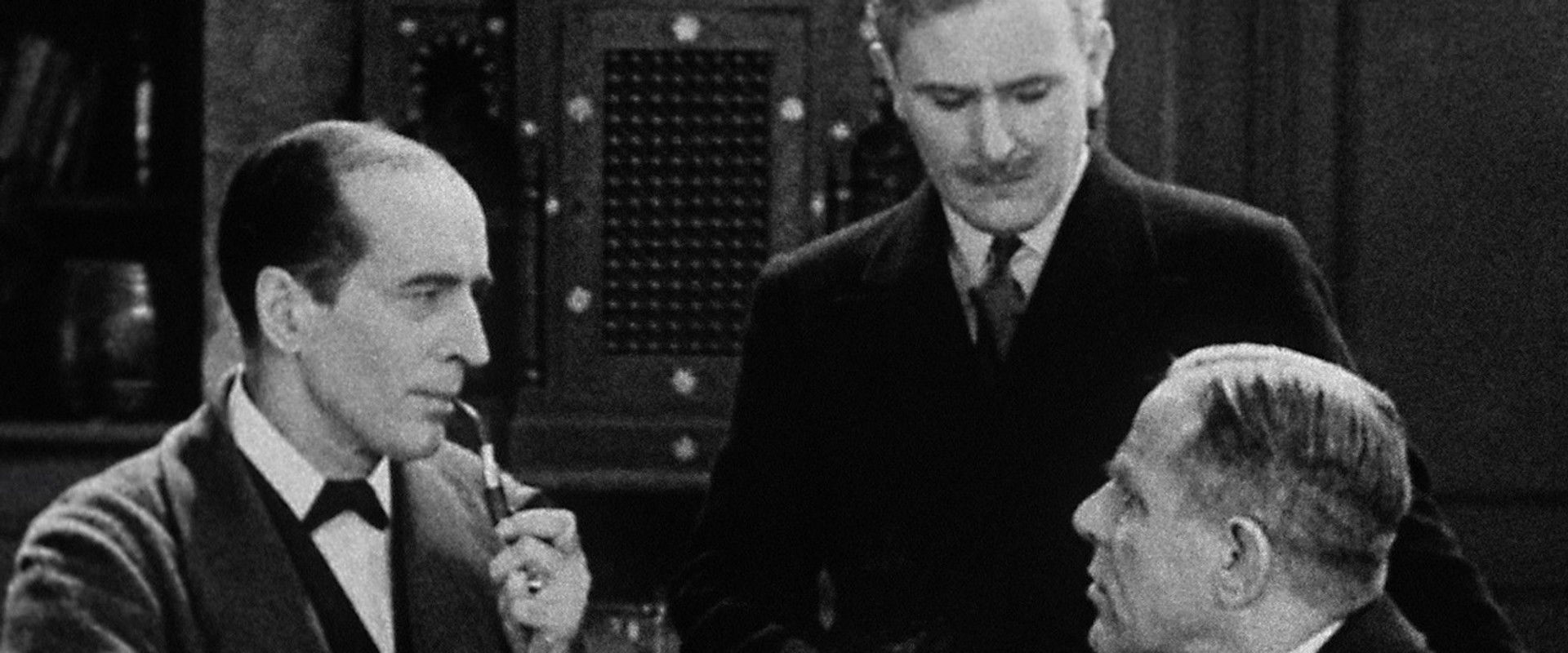 The Sleeping Cardinal's banner image