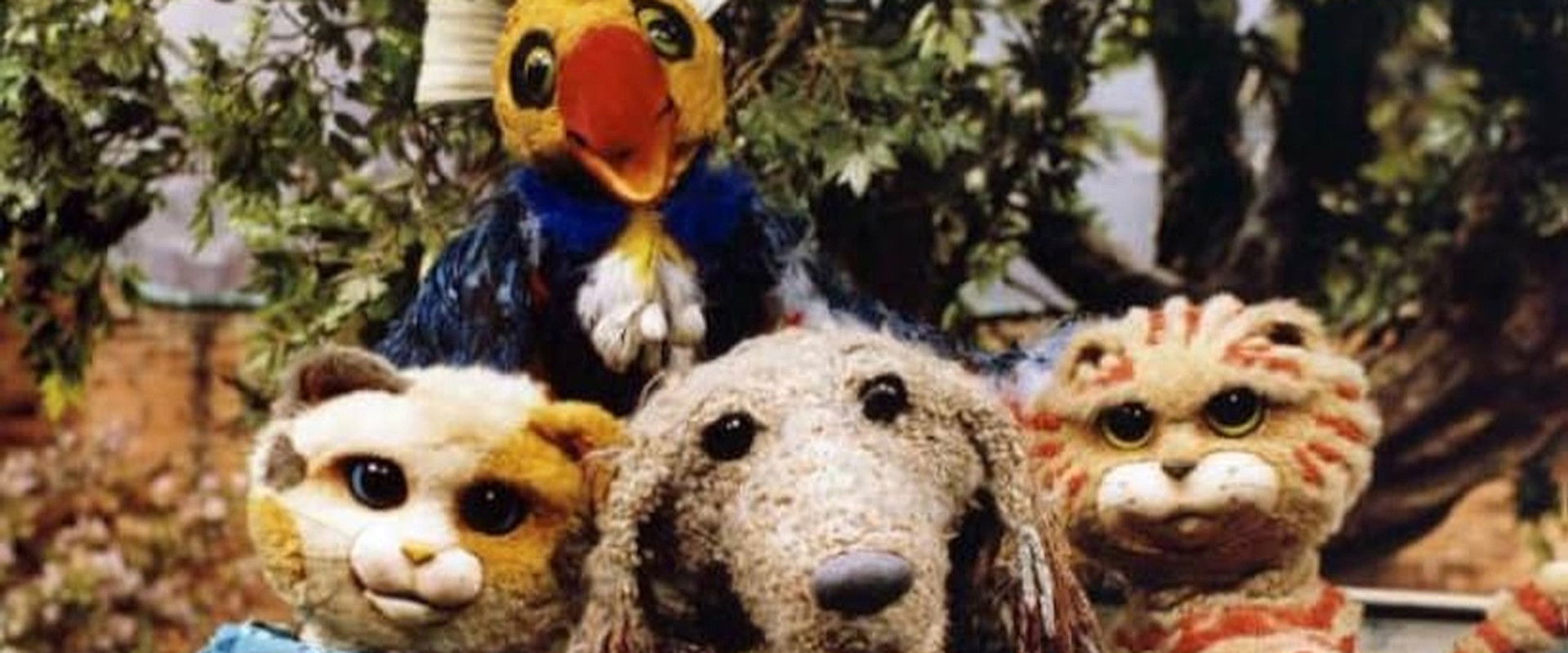 Kitty Cats's banner image