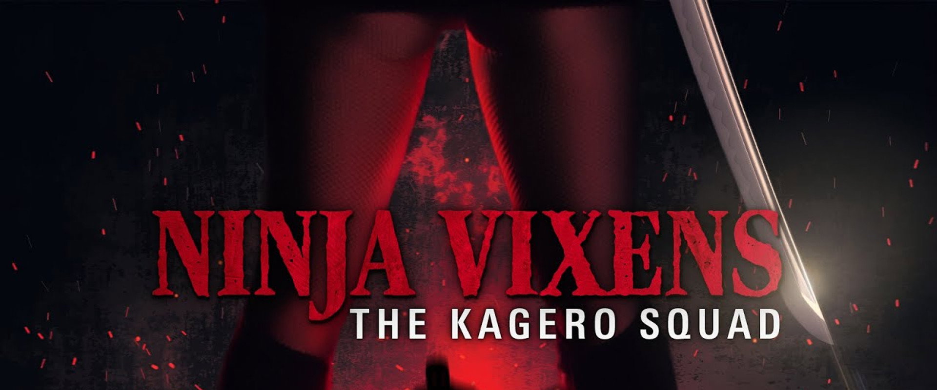 The Ninja Vixens: The Kagero Squad's banner image