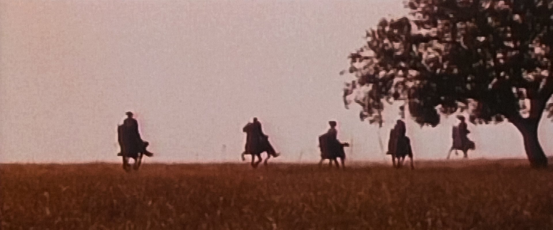 Alentejo Sem Lei