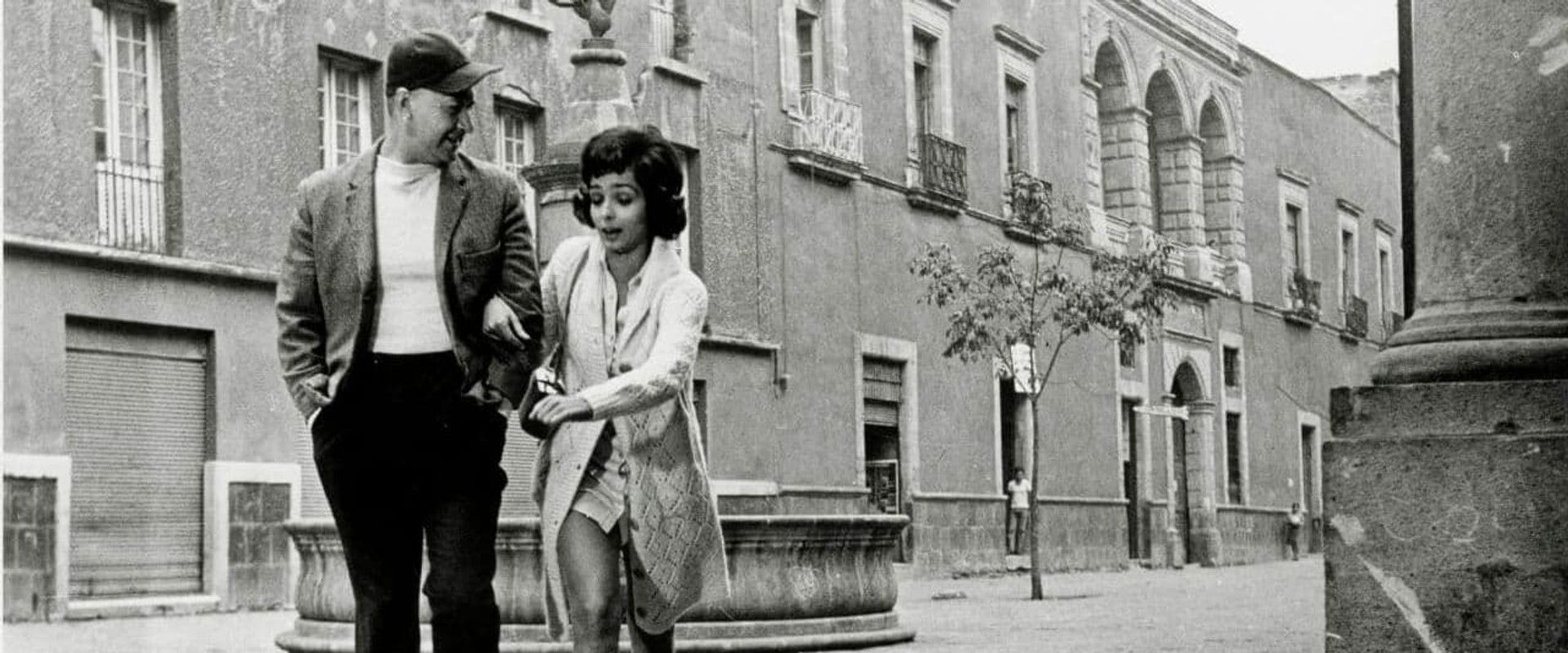 The Prophet Mimi's banner image