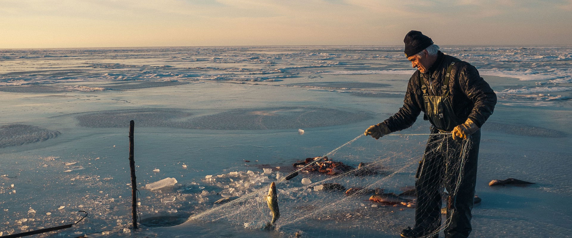 Au pays des Mitchifs