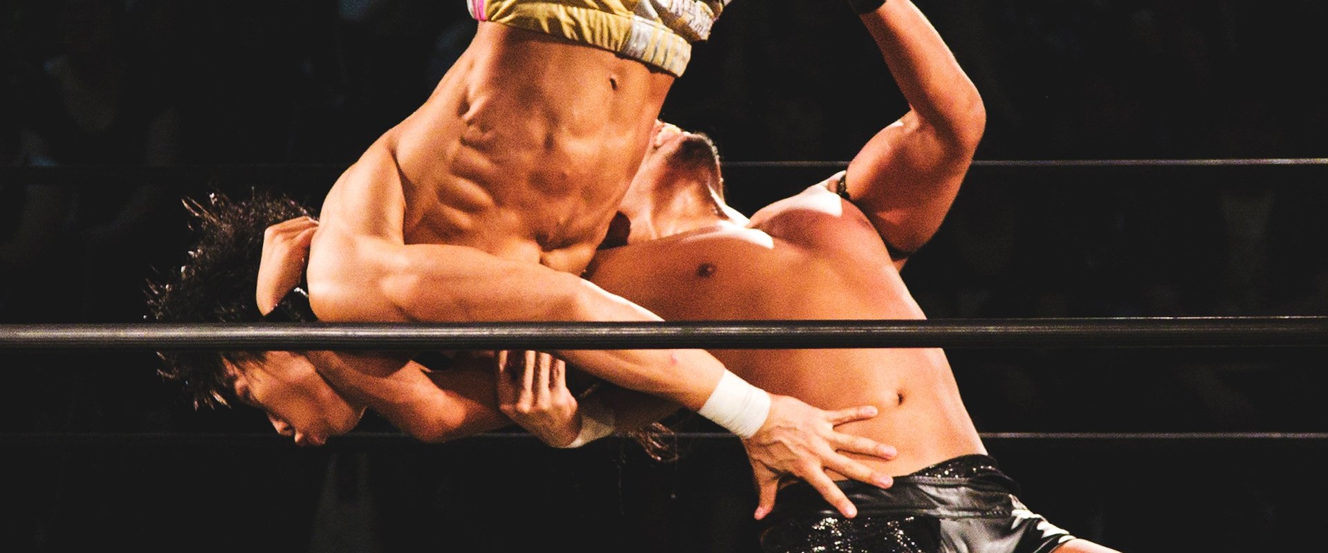 The Wrestlers