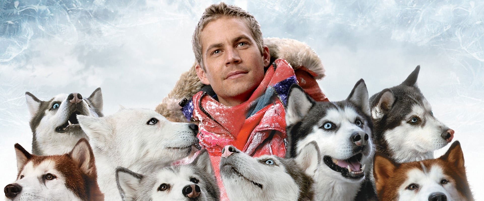 Eight Below