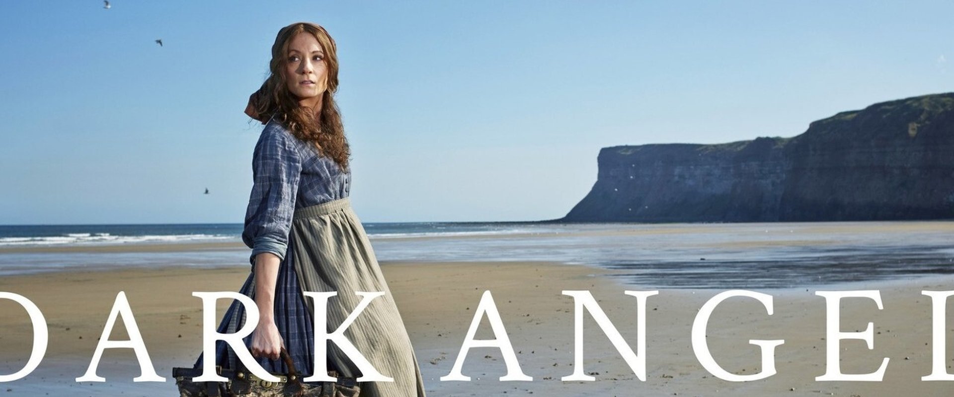 Dark Angel's banner image