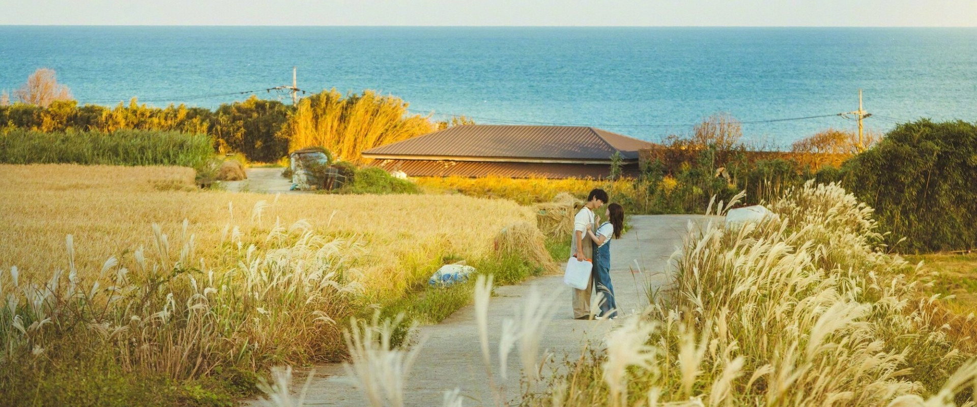 My Youth's banner image