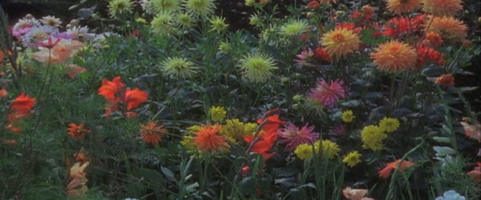 Geschichten übern Gartenzaun