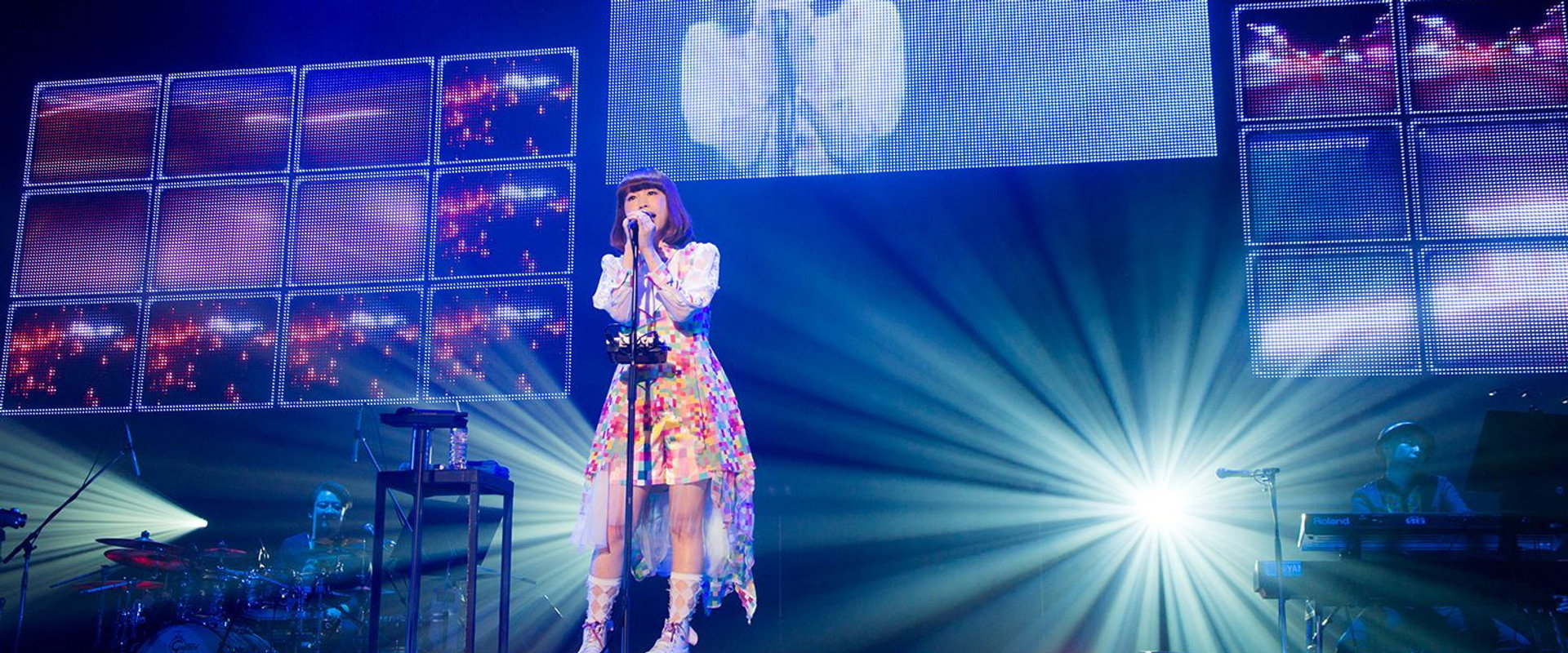 やなぎなぎ ライブツアー2015「ポリオミノ」渋谷公会堂's banner image