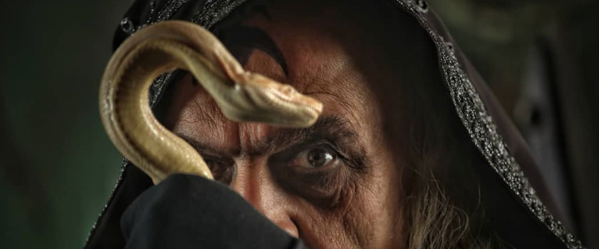 فرسان الظلام