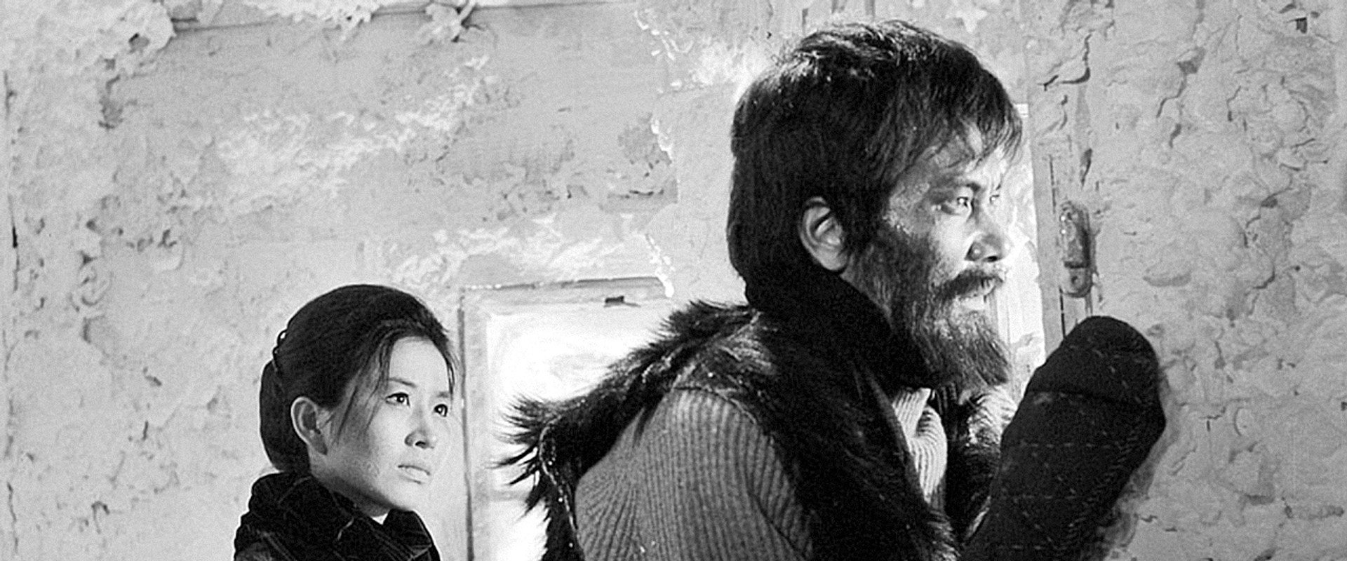 The Top of Mount Fuji's banner image