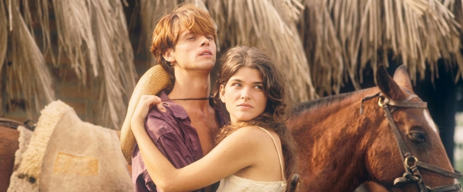 Pantanal's banner image