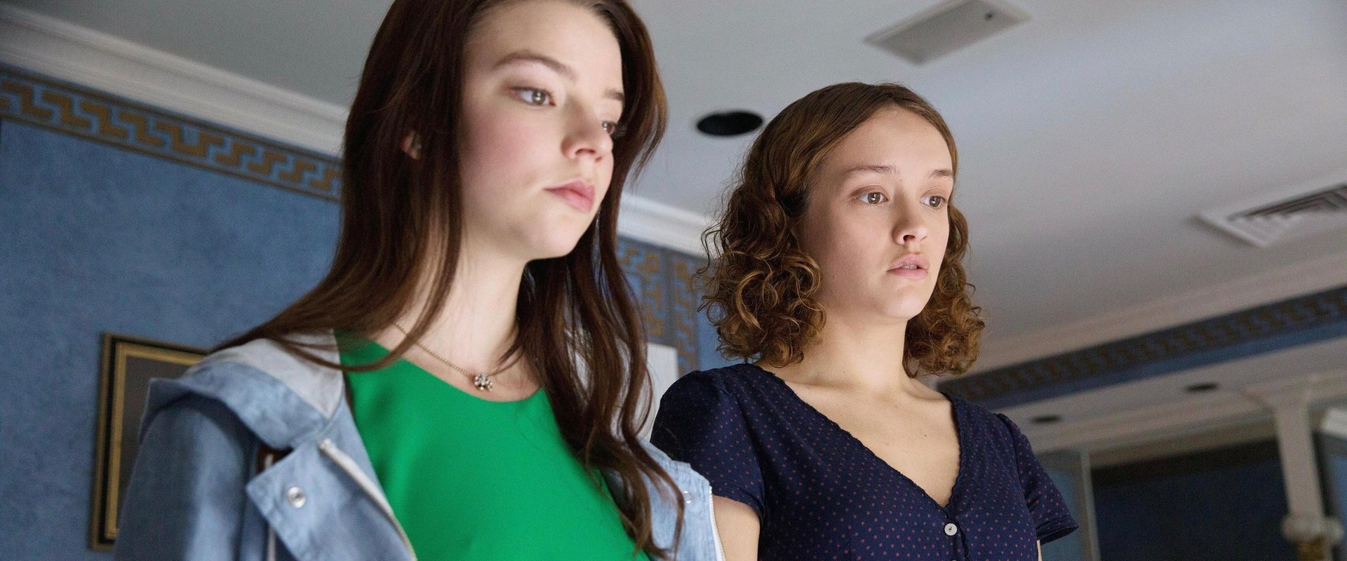Thoroughbreds