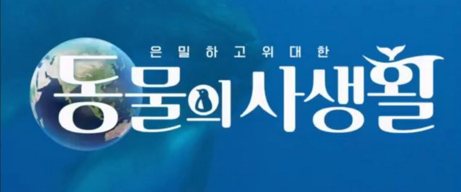 Secrets of Wildlife's banner image