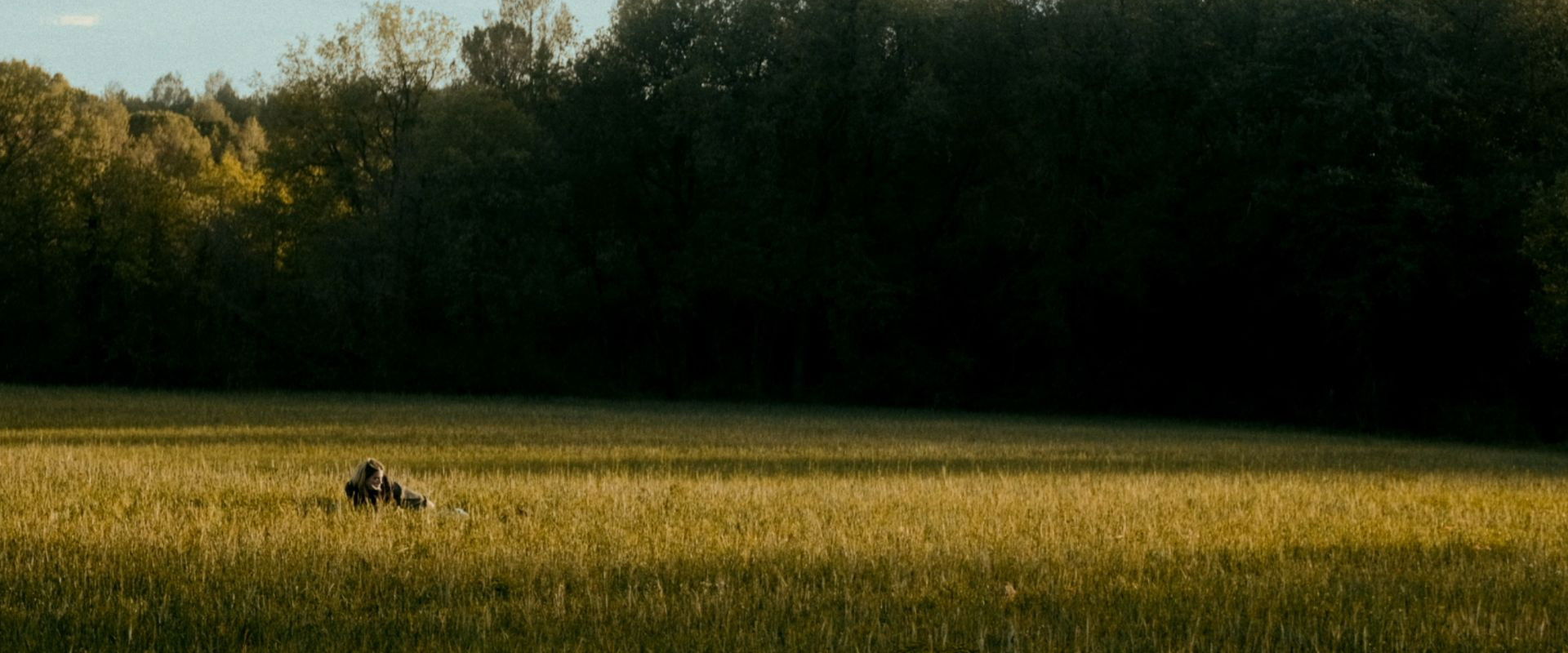 Hanói!'s banner image