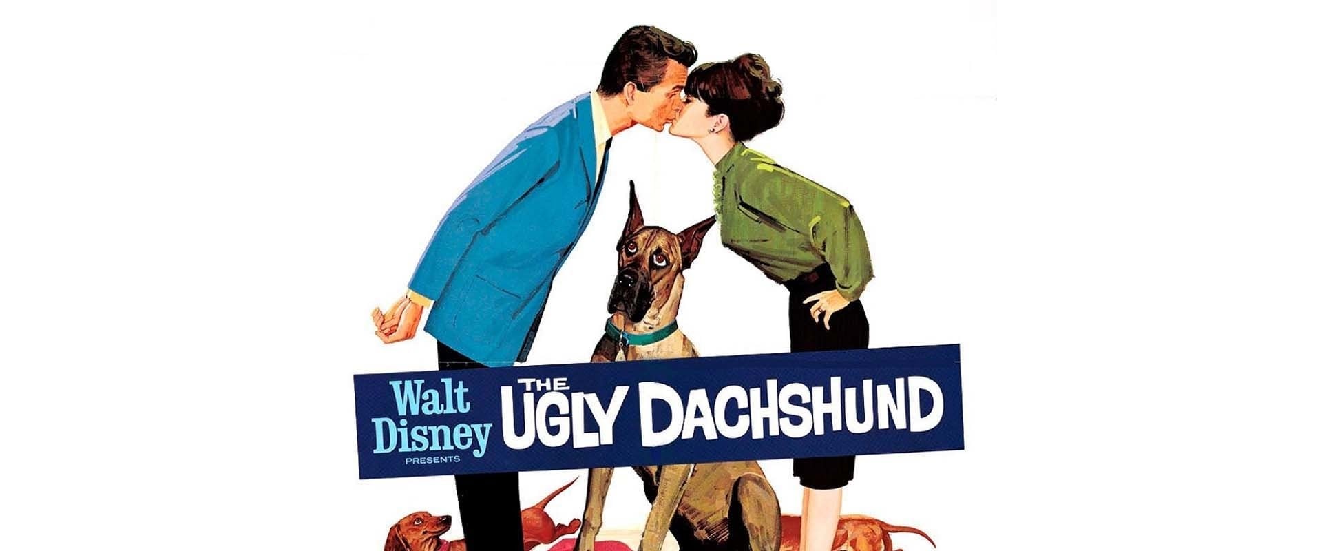 The Ugly Dachshund