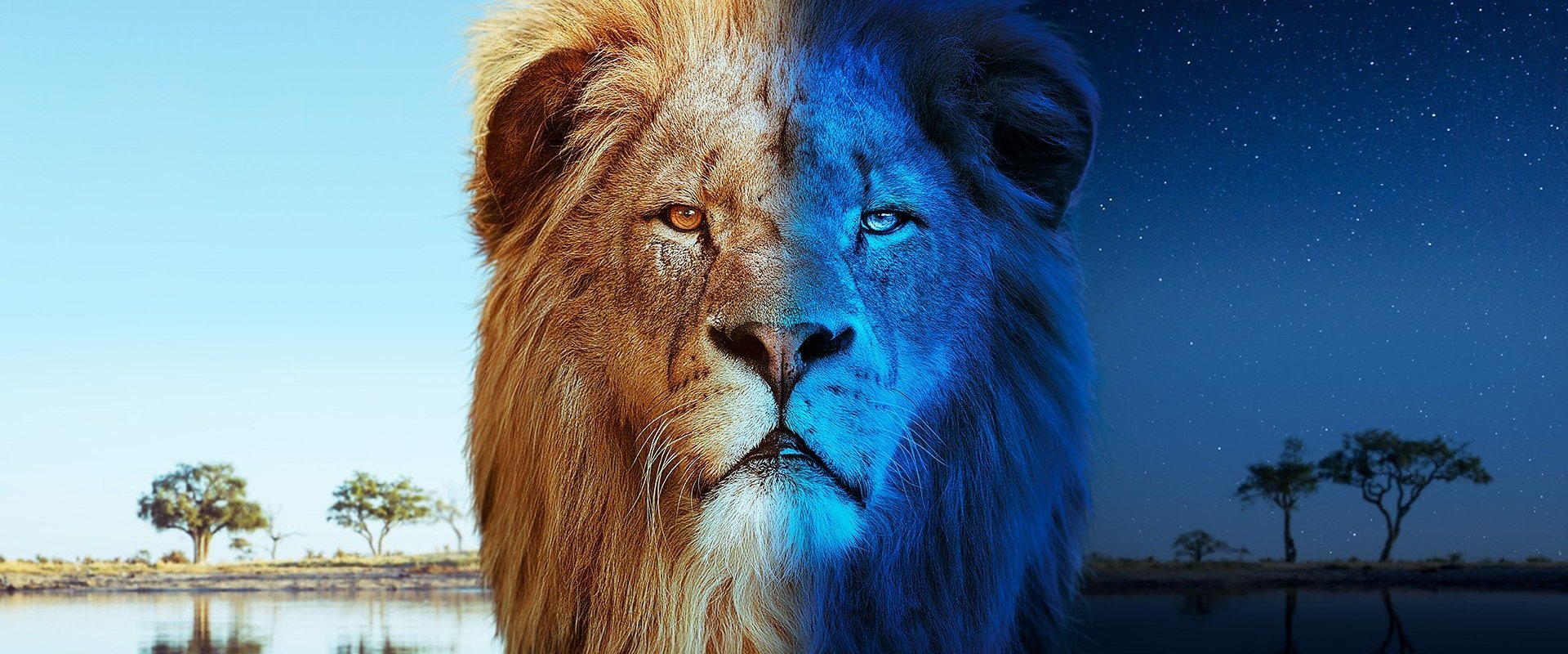 Big Cats 24/7