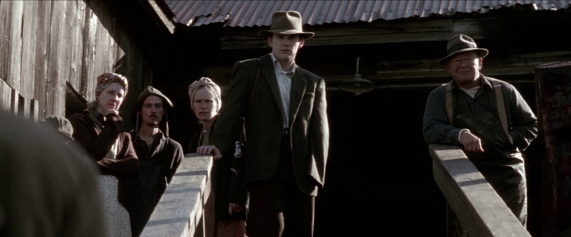 落在香杉树的雪花