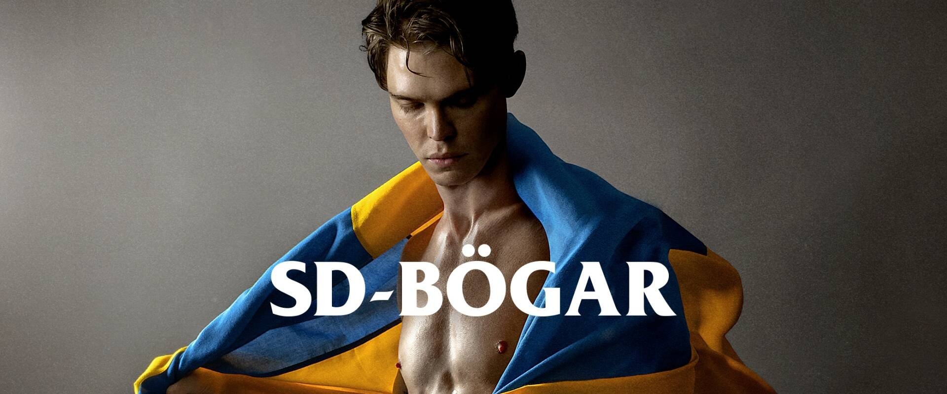 SD-Bögar