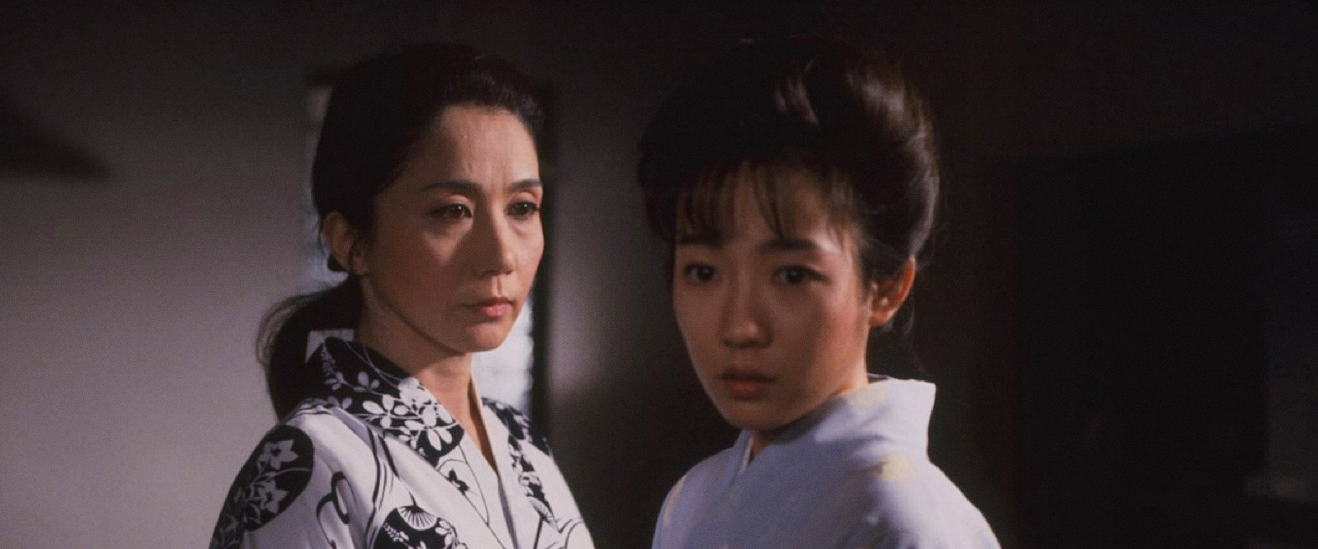 Cherry Blossoms's banner image