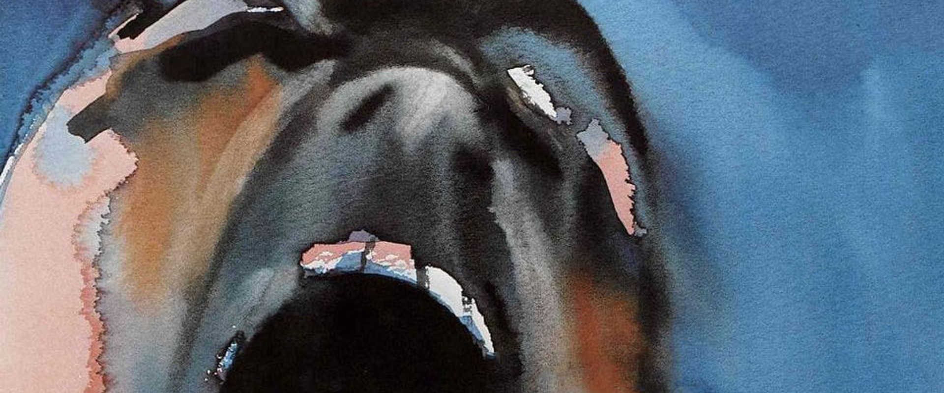 Pink Floyd: The Wall