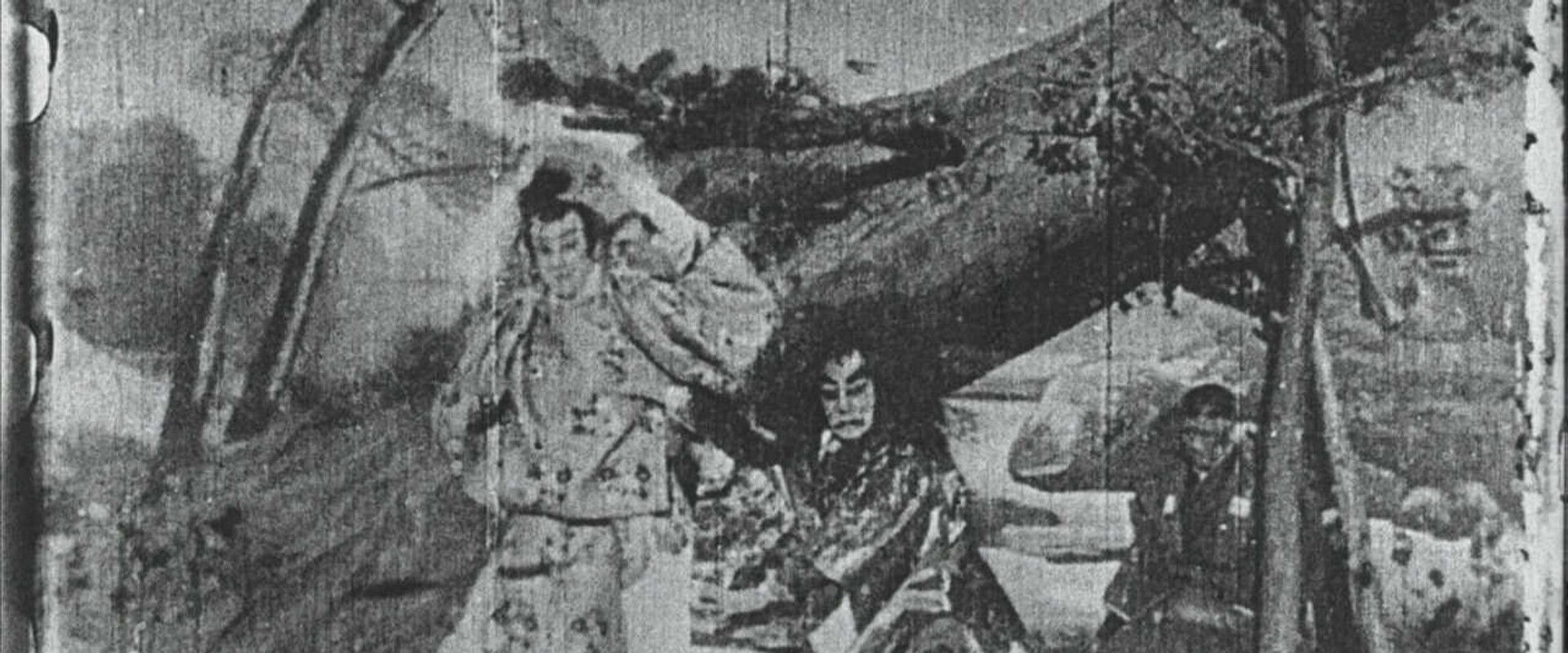 Maple Leaf Viewing's banner image