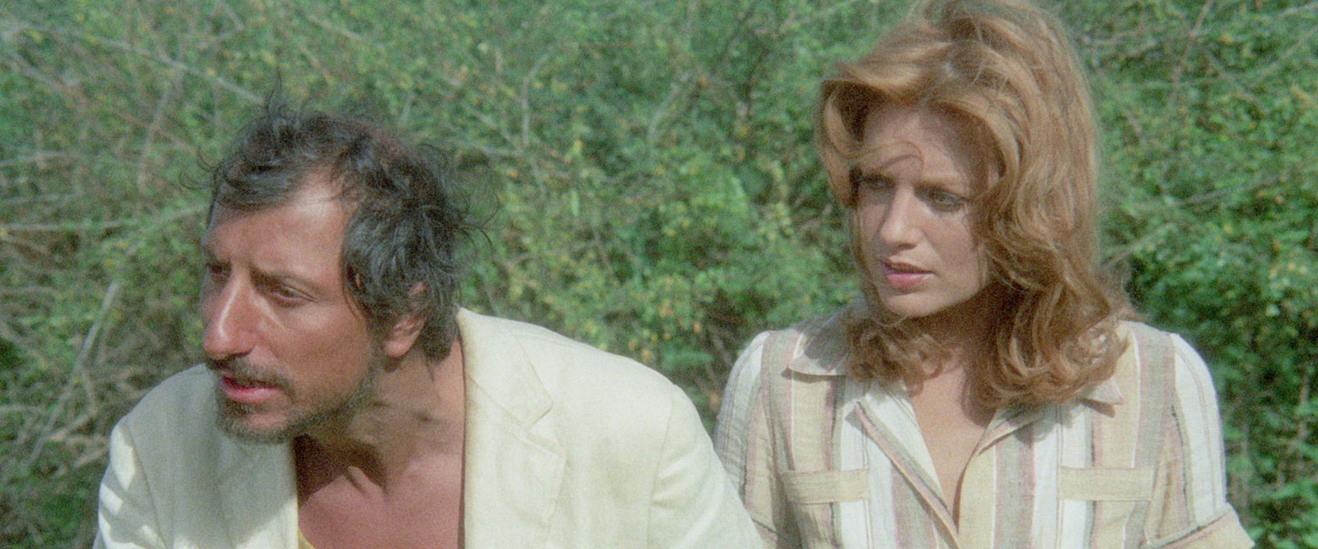 The Way of the Baboons's banner image