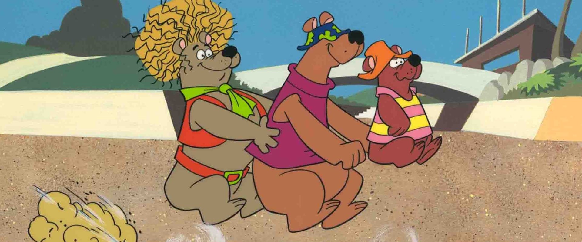 Help!... It's the Hair Bear Bunch!