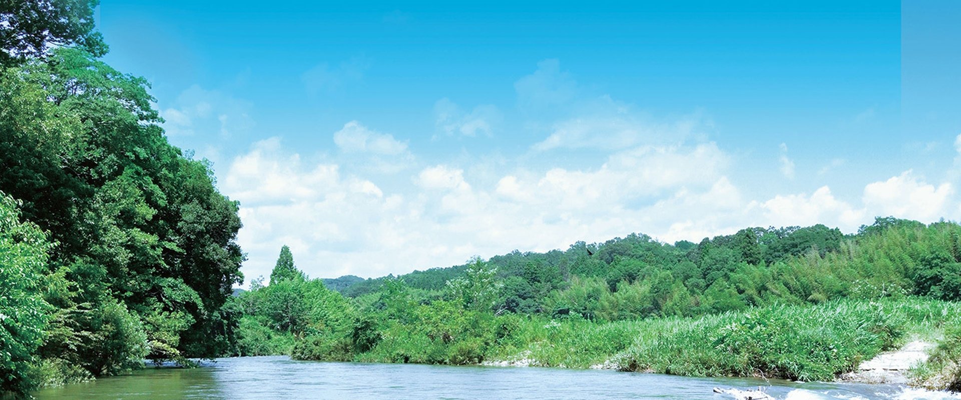 Our Summer ~River Side Family~