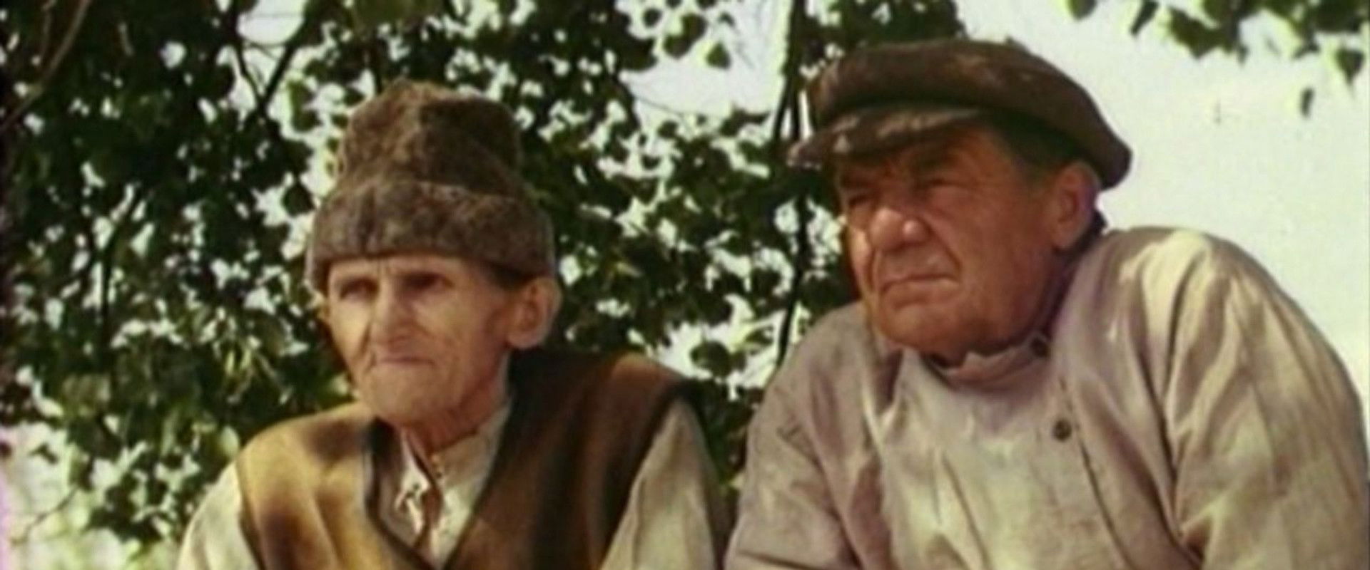 Enchanted's banner image