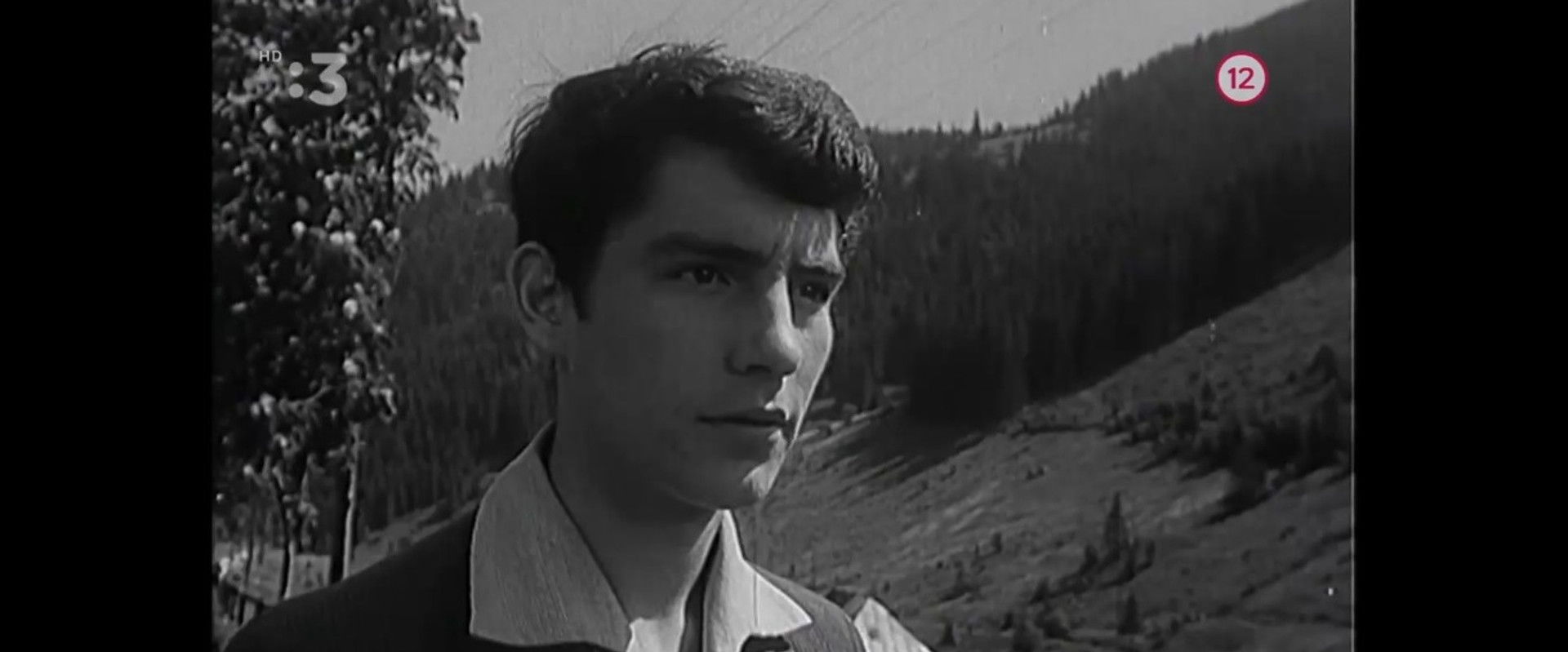 Cradle's banner image