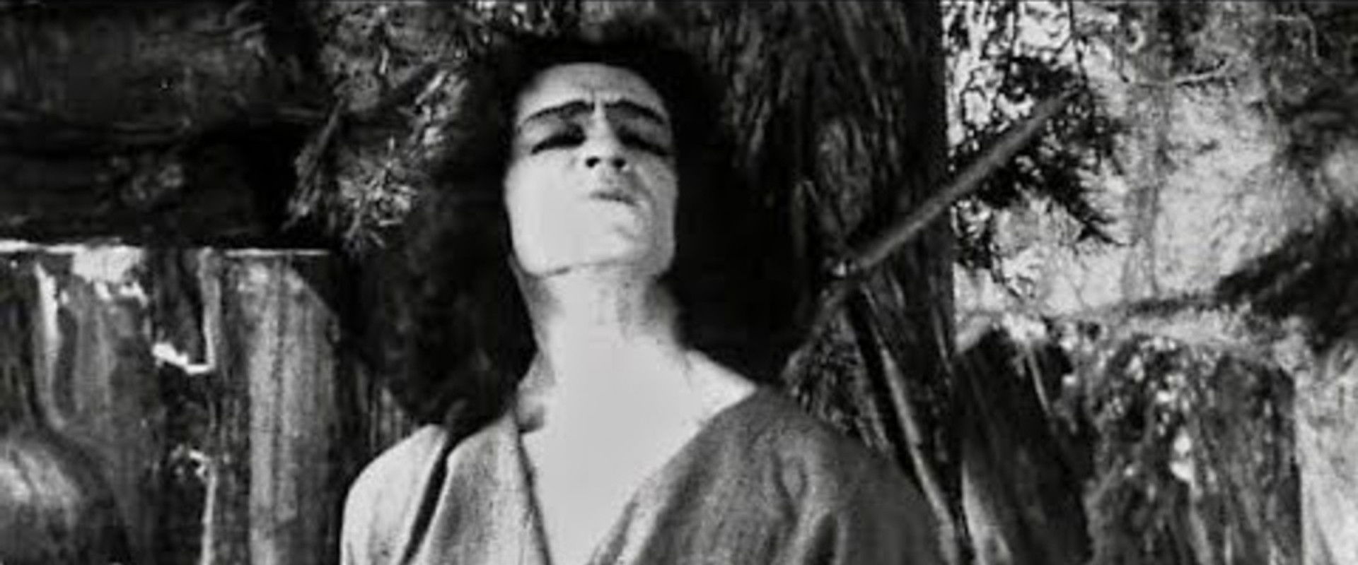 Maiden's Mountains's banner image