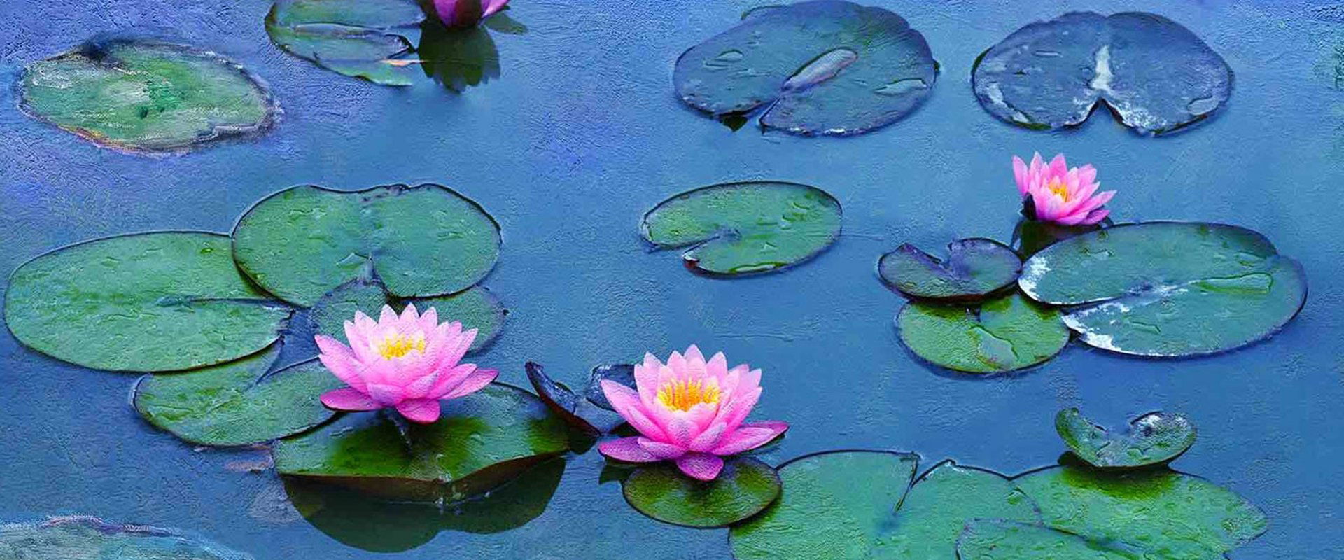 Water Lilies by Monet