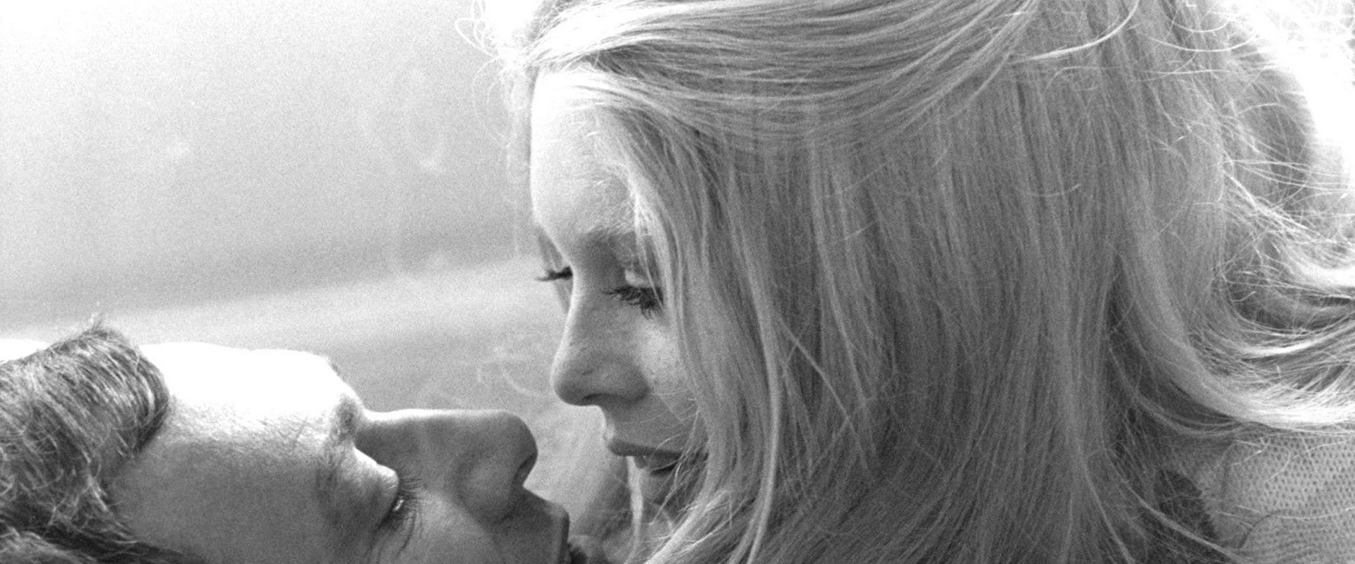 The Vixen's banner image