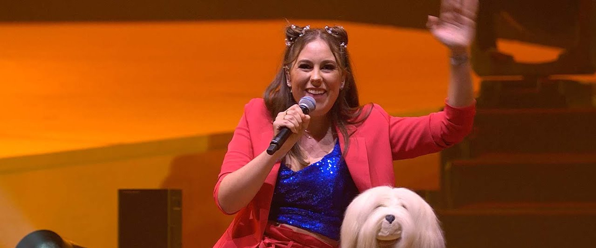 De Grote Sinterklaasshow's banner image