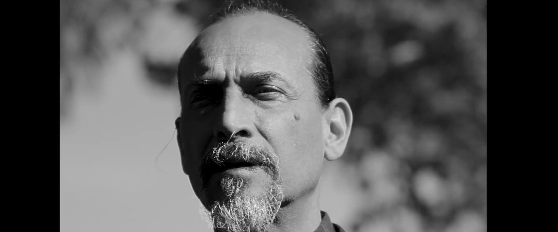 The Compass's banner image