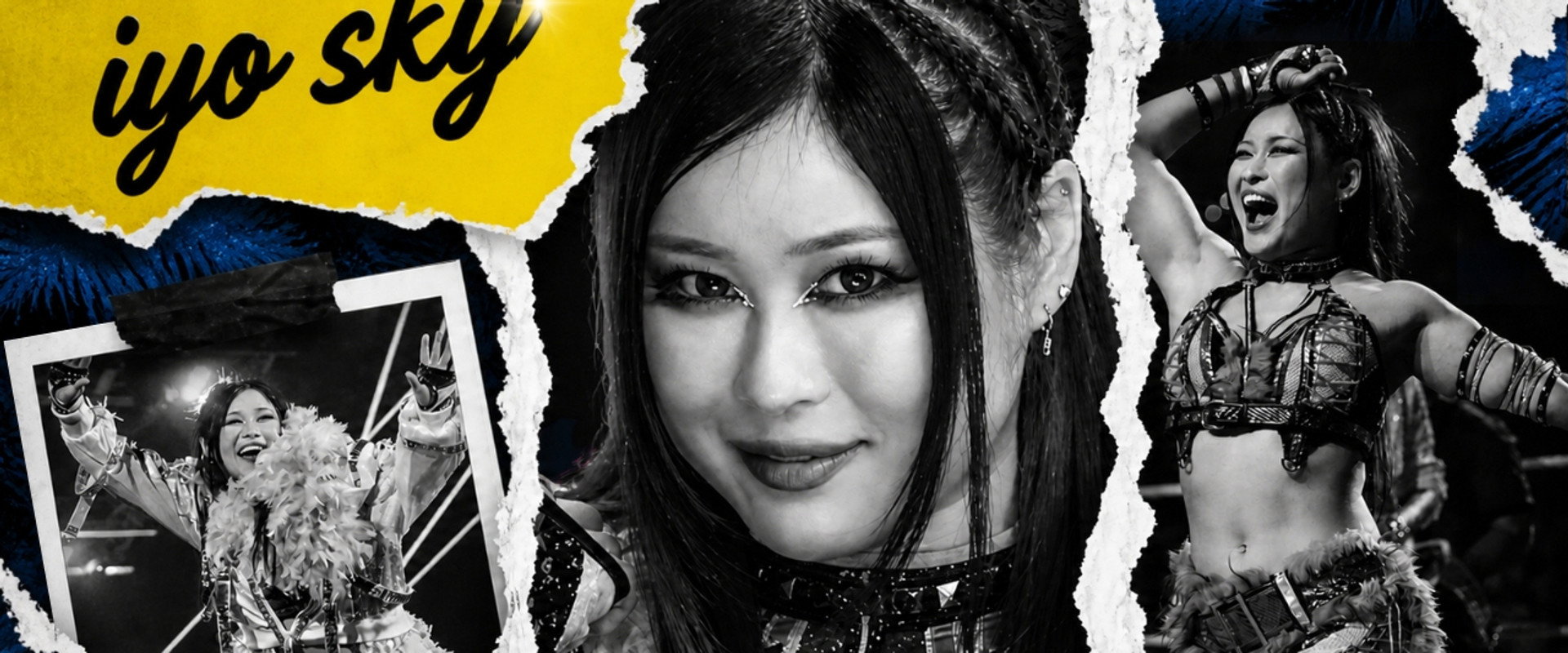 Backlash Tampa's banner image