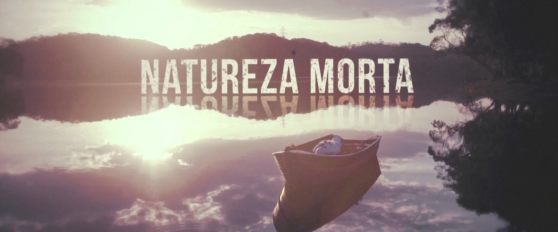 Natureza Morta