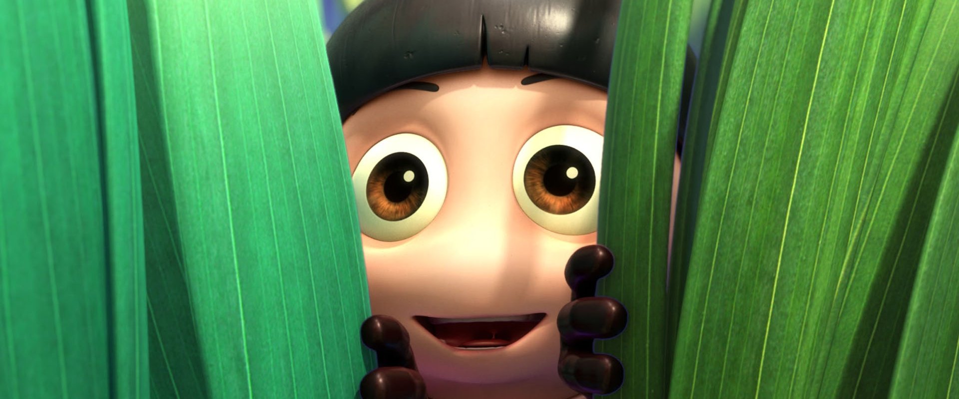 The Ladybug