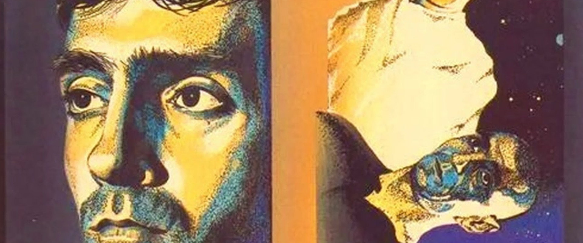 The Contact's banner image